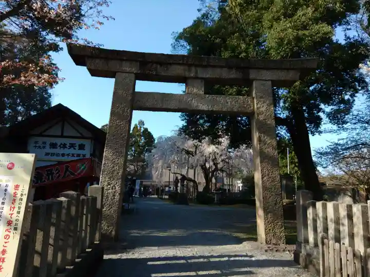 足羽神社の鳥居