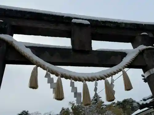 前玉神社の{uncategorized: "未分類", other: "その他", undefined: "問題あり", building: "その他建物", grave: "お墓", sacred_gate: "鳥居", guardian: "狛犬", statue: "像", buddha: "仏像", history: "歴史", nature: "自然", garden: "庭園", animal: "動物", pagoda: "塔", temizu: "手水舎", mountain_gate: "山門・神門", sanctuary: "本殿・本堂", subordinate: "末社・摂社", art: "芸術", scenery: "景色", jizo: "地蔵", ema: "絵馬", goshuin: "御朱印", omikuji: "おみくじ", items: "授与品その他", amulet: "お守り", goshuincho: "御朱印帳", eats: "食事", festival: "お祭り", votive_dance: "神楽", shichigosan: "七五三参", wedding: "結婚式", experience: "体験その他", initially: "初詣", around: "周辺", anti_infection: "感染症対策"}