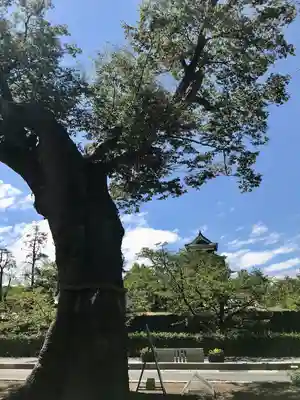 松本神社(長野県)