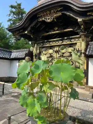 建長寺の{uncategorized: "未分類", other: "その他", undefined: "問題あり", building: "その他建物", grave: "お墓", sacred_gate: "鳥居", guardian: "狛犬", statue: "像", buddha: "仏像", history: "歴史", nature: "自然", garden: "庭園", animal: "動物", pagoda: "塔", temizu: "手水舎", mountain_gate: "山門・神門", sanctuary: "本殿・本堂", subordinate: "末社・摂社", art: "芸術", scenery: "景色", jizo: "地蔵", ema: "絵馬", goshuin: "御朱印", omikuji: "おみくじ", items: "授与品その他", amulet: "お守り", goshuincho: "御朱印帳", eats: "食事", festival: "お祭り", votive_dance: "神楽", shichigosan: "七五三参", wedding: "結婚式", experience: "体験その他", initially: "初詣", around: "周辺", anti_infection: "感染症対策"}