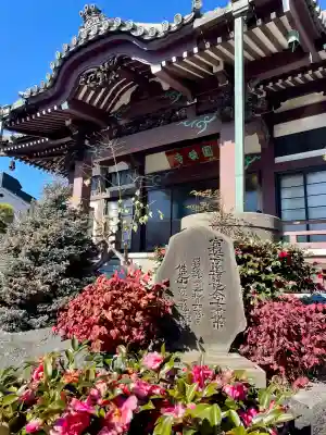円頓寺の{uncategorized: "未分類", other: "その他", undefined: "問題あり", building: "その他建物", grave: "お墓", sacred_gate: "鳥居", guardian: "狛犬", statue: "像", buddha: "仏像", history: "歴史", nature: "自然", garden: "庭園", animal: "動物", pagoda: "塔", temizu: "手水舎", mountain_gate: "山門・神門", sanctuary: "本殿・本堂", subordinate: "末社・摂社", art: "芸術", scenery: "景色", jizo: "地蔵", ema: "絵馬", goshuin: "御朱印", omikuji: "おみくじ", items: "授与品その他", amulet: "お守り", goshuincho: "御朱印帳", eats: "食事", festival: "お祭り", votive_dance: "神楽", shichigosan: "七五三参", wedding: "結婚式", experience: "体験その他", initially: "初詣", around: "周辺", anti_infection: "感染症対策"}