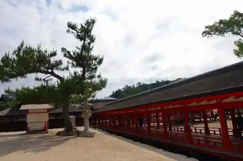 厳島神社の建物その他