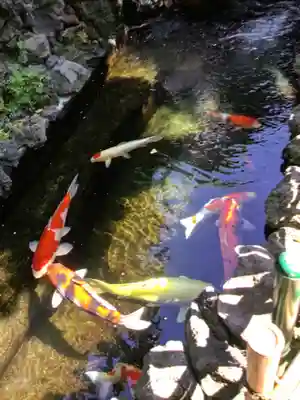 吉原弁財天本宮（吉原神社奥宮）(東京都)