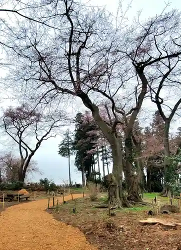 神炊館神社 ⁂奥州須賀川総鎮守⁂(福島県)