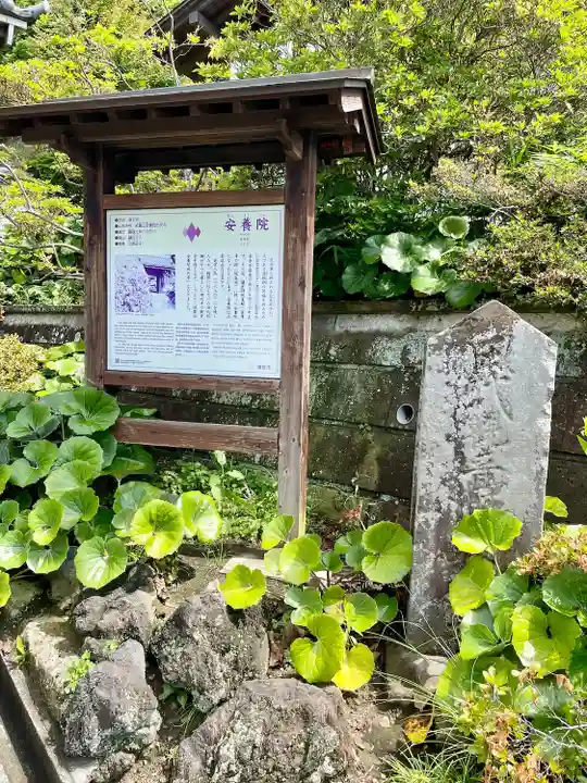 安養院 (田代寺)(神奈川県)