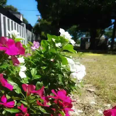 秋葉神社の自然