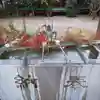 今市報徳二宮神社の手水舎