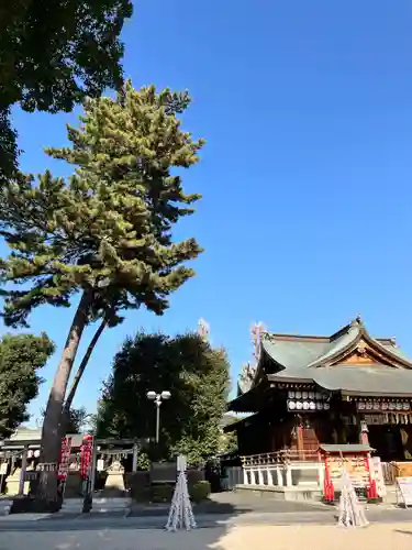 中野沼袋氷川神社(東京都)