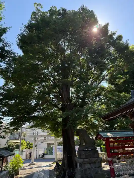 滝野川八幡神社(東京都)