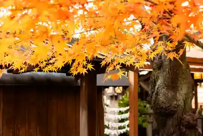 洲嵜神社(愛知県)