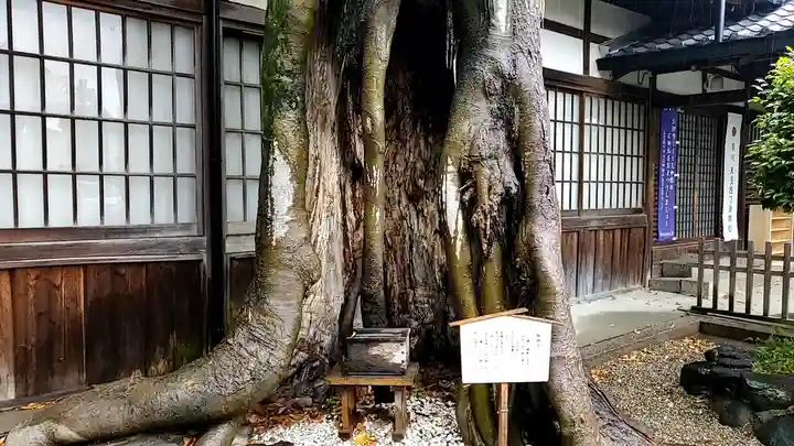 三輪坐恵比須神社のその他建物