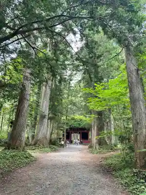 戸隠神社九頭龍社(長野県)