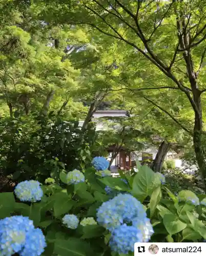 普門寺(切り絵御朱印発祥の寺)の景色