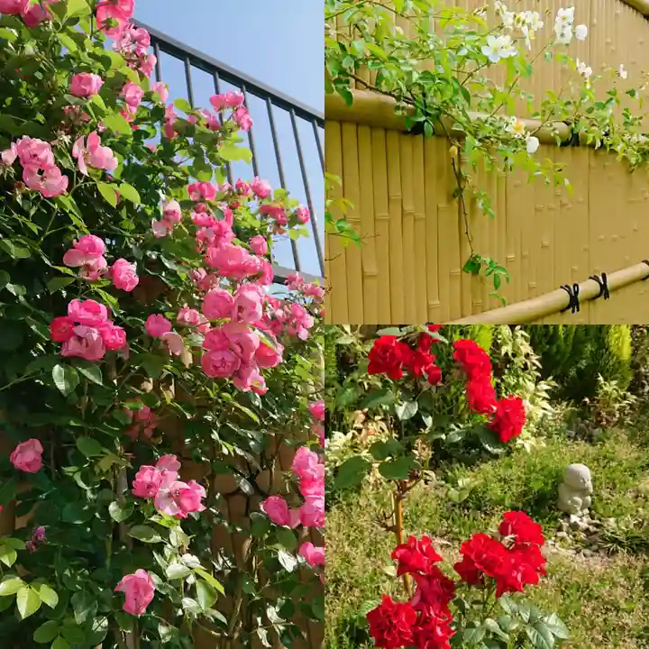 寿量山 速成寺の自然