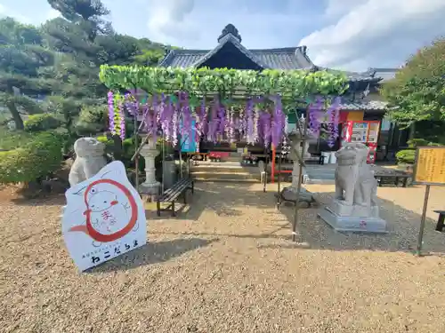 萬福寺のその他建物