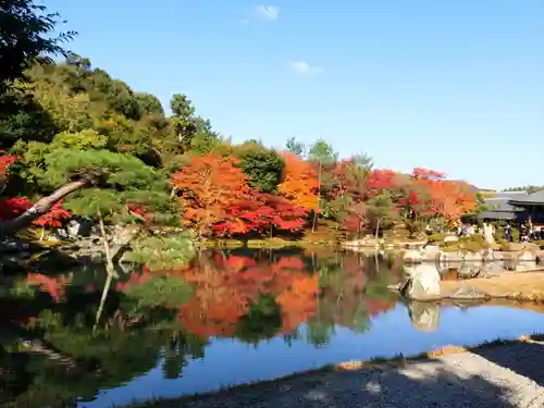 天龍寺の庭園