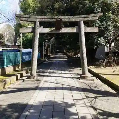 渋谷氷川神社の鳥居