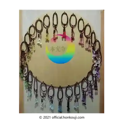 光胤山 大野本光寺の体験その他