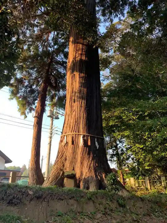 返田神社(香取神宮摂社)(千葉県)