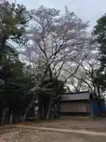 氷川神社(埼玉県)