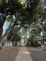 大宮神社(千葉県)