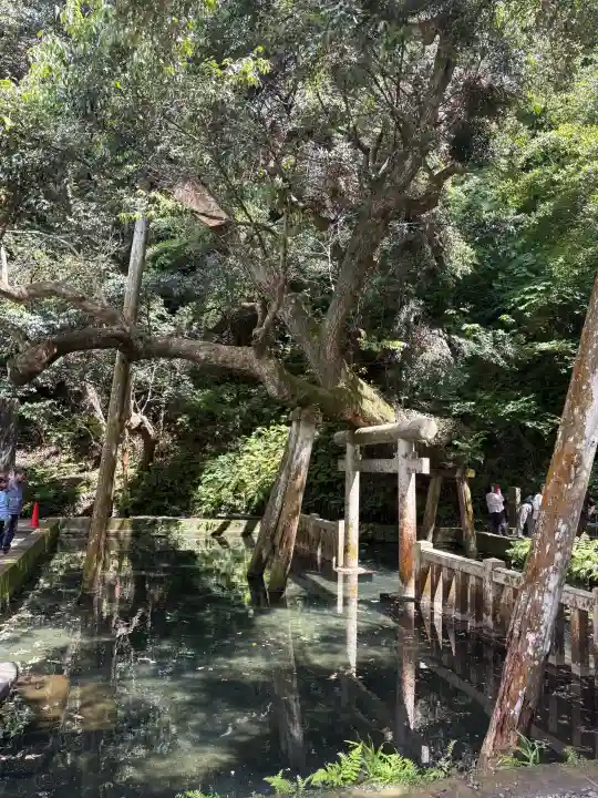 鹿島神宮の{uncategorized: "未分類", other: "その他", undefined: "問題あり", building: "その他建物", grave: "お墓", sacred_gate: "鳥居", guardian: "狛犬", statue: "像", buddha: "仏像", history: "歴史", nature: "自然", garden: "庭園", animal: "動物", pagoda: "塔", temizu: "手水舎", mountain_gate: "山門・神門", sanctuary: "本殿・本堂", subordinate: "末社・摂社", art: "芸術", scenery: "景色", jizo: "地蔵", ema: "絵馬", goshuin: "御朱印", omikuji: "おみくじ", items: "授与品その他", amulet: "お守り", goshuincho: "御朱印帳", eats: "食事", festival: "お祭り", votive_dance: "神楽", shichigosan: "七五三参", wedding: "結婚式", experience: "体験その他", initially: "初詣", around: "周辺", anti_infection: "感染症対策"}