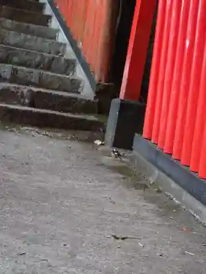 太皷谷稲成神社(島根県)