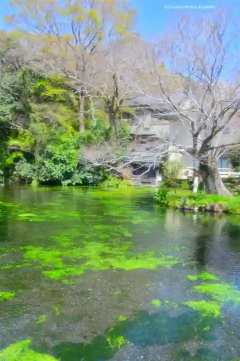 富士山本宮浅間大社(静岡県)