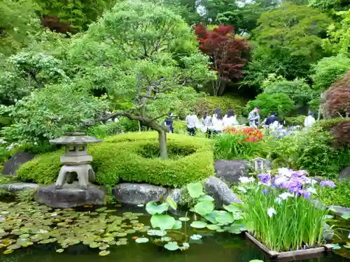 長谷寺の庭園