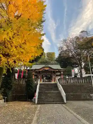 北澤八幡神社の本殿・本堂