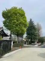 宝泉寺の{uncategorized: "未分類", other: "その他", undefined: "問題あり", building: "その他建物", grave: "お墓", sacred_gate: "鳥居", guardian: "狛犬", statue: "像", buddha: "仏像", history: "歴史", nature: "自然", garden: "庭園", animal: "動物", pagoda: "塔", temizu: "手水舎", mountain_gate: "山門・神門", sanctuary: "本殿・本堂", subordinate: "末社・摂社", art: "芸術", scenery: "景色", jizo: "地蔵", ema: "絵馬", goshuin: "御朱印", omikuji: "おみくじ", items: "授与品その他", amulet: "お守り", goshuincho: "御朱印帳", eats: "食事", festival: "お祭り", votive_dance: "神楽", shichigosan: "七五三参", wedding: "結婚式", experience: "体験その他", initially: "初詣", around: "周辺", anti_infection: "感染症対策"}