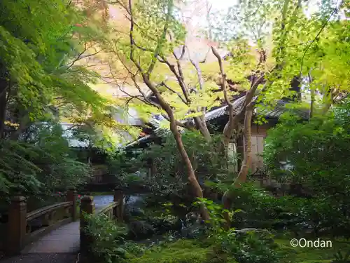 光明寺瑠璃光院(京都府)