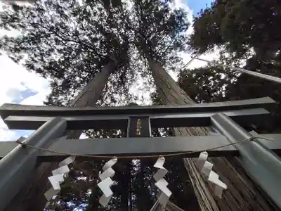 九頭龍神社(東京都)