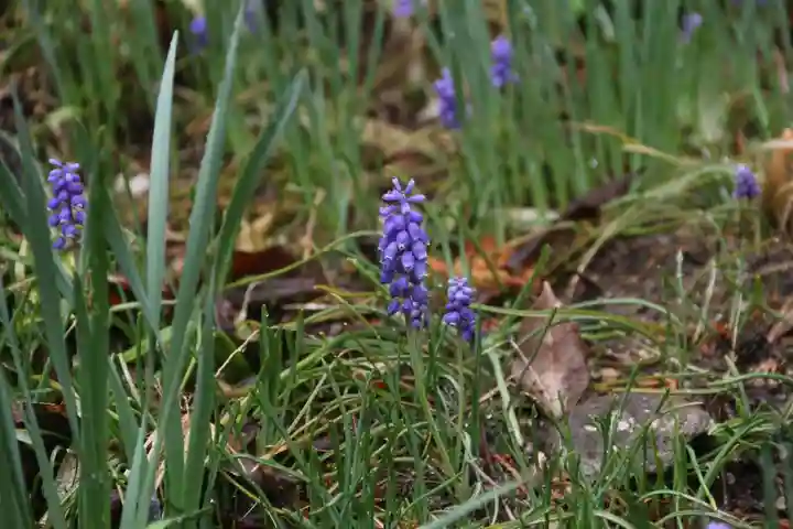 大六天麻王神社の庭園