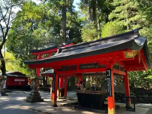 箱根神社の手水舎