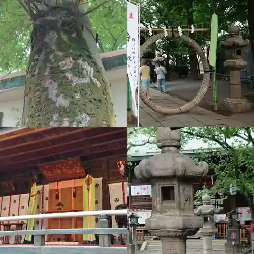 七社神社(東京都)