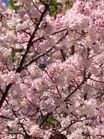 覚性寺(東京都)