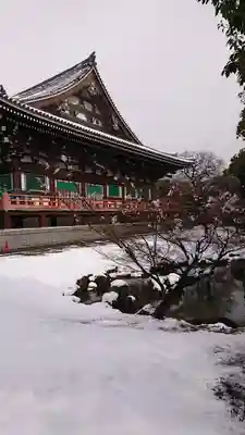  智積院(京都府)
