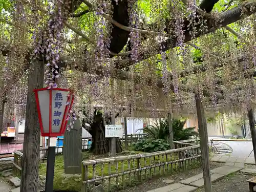 行興寺(静岡県)