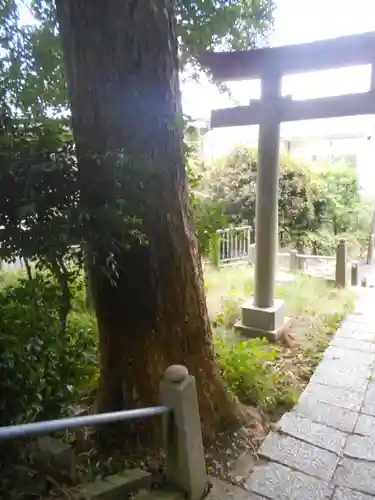 中里神社の鳥居