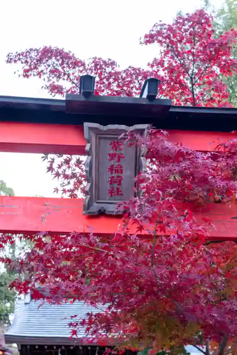 今宮神社(京都府)