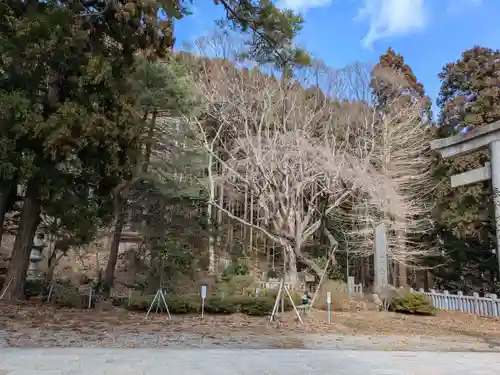 函館八幡宮(北海道)