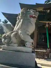 赤羽八幡神社の狛犬