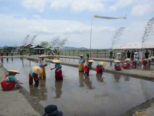 阿賀神社のお祭り