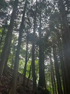 三峯神社奥宮(埼玉県)