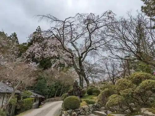 正法寺(京都府)