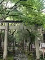 蓮華寺(洛北蓮華寺)の鳥居
