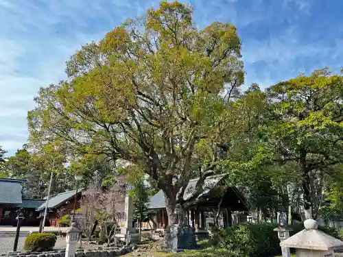 滋賀県護国神社の自然