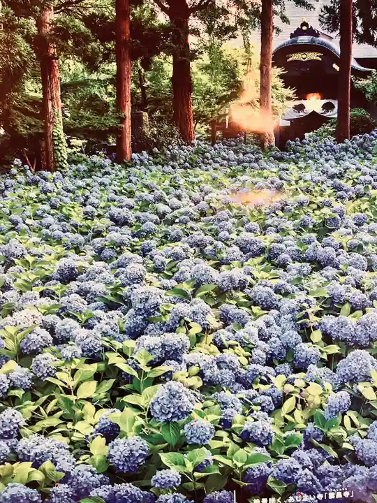 雲昌寺(秋田県)