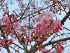 江島神社の自然